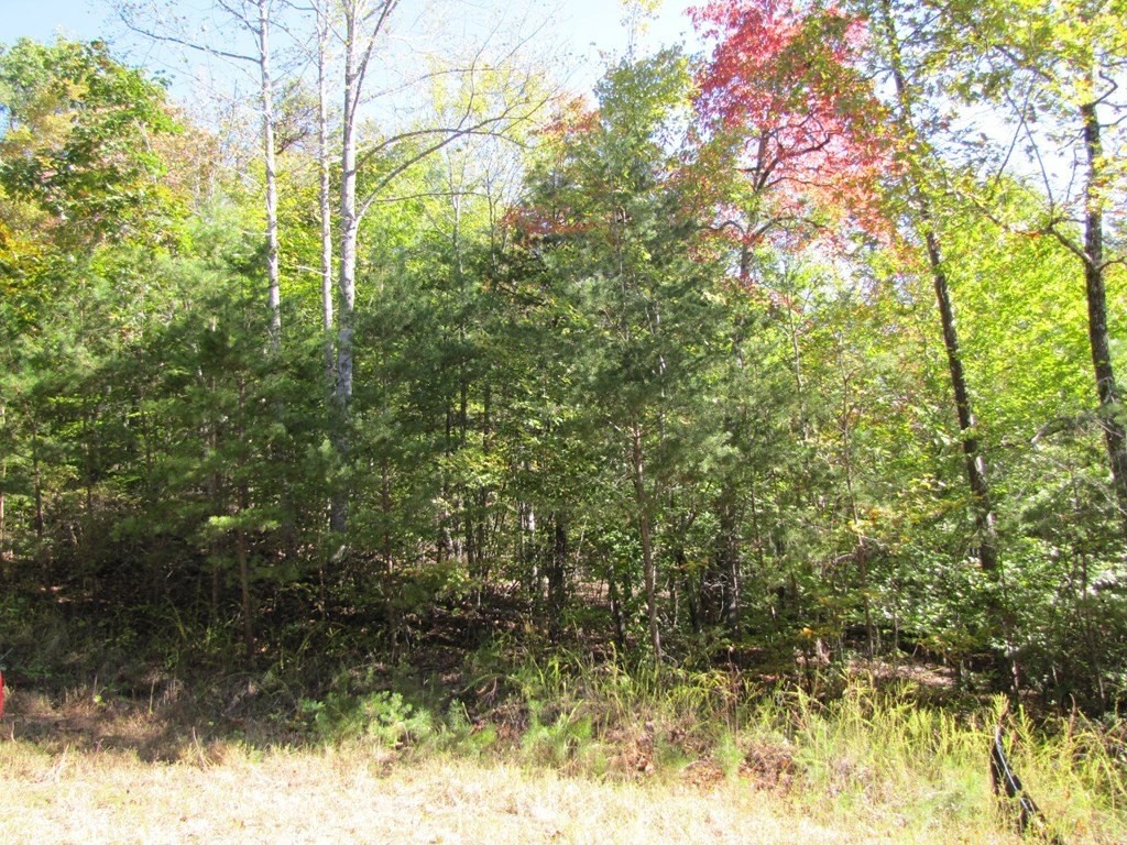 2. Lot 11 Melmark Acres Trail