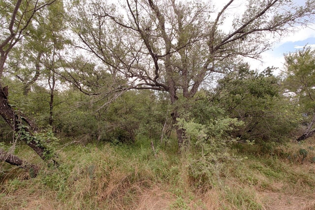 2. Lot 225 Prairie Creek Drive