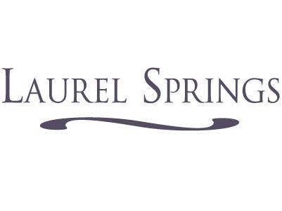 1. Lt0 Laurel Springs Cir