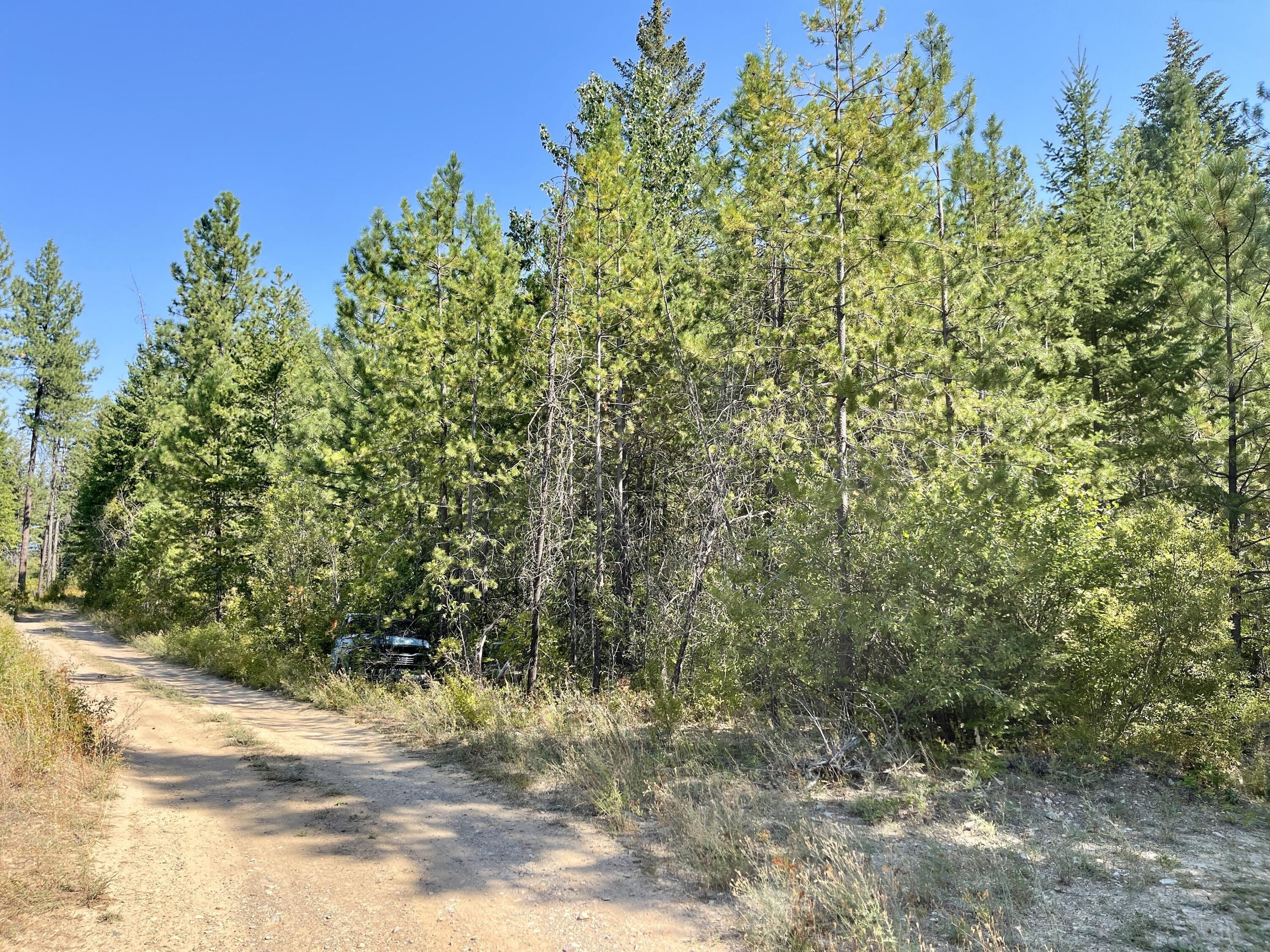 1. Tbdxx Grouse Creek Rd Lot 20