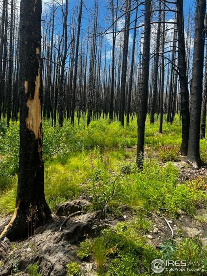 13. 0 Old Ballard Logging Rd