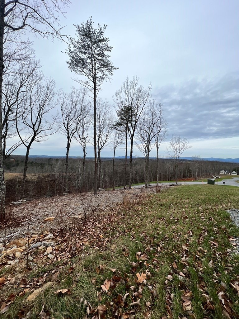 2. Lot 91 High Summit Drive