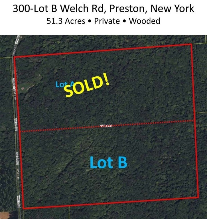 2. 300-Lot B Welch Road