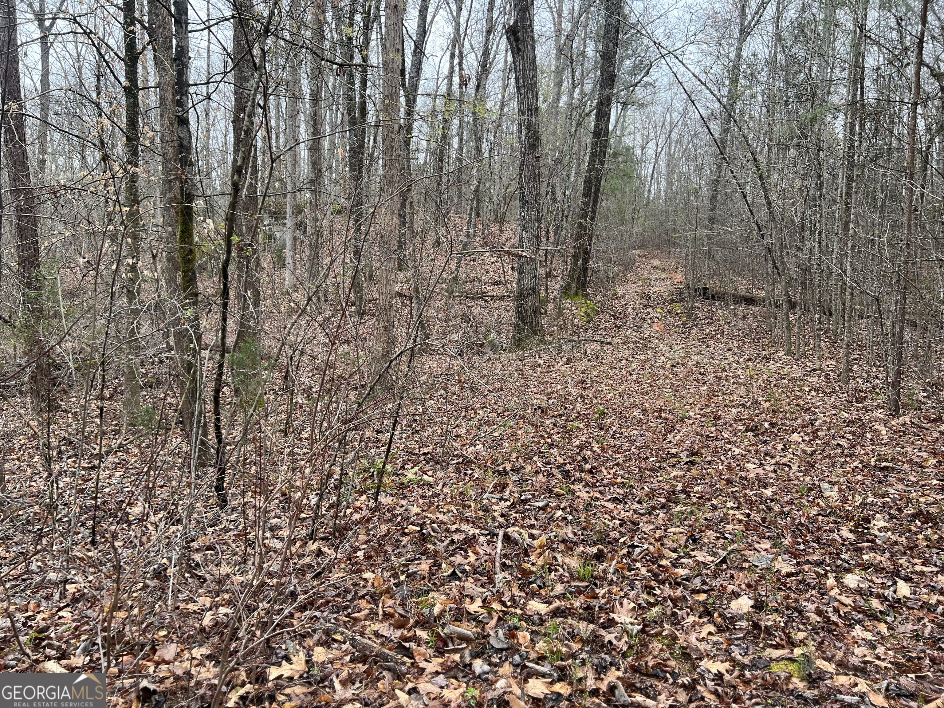 8. 159 Acres, Mobley Hill Road