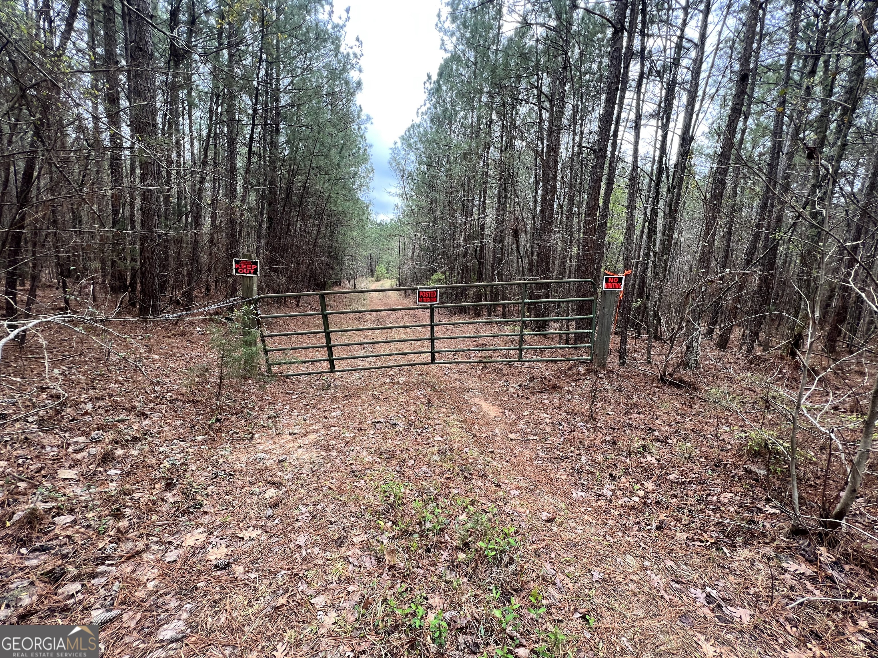 3. 159 Acres, Mobley Hill Road