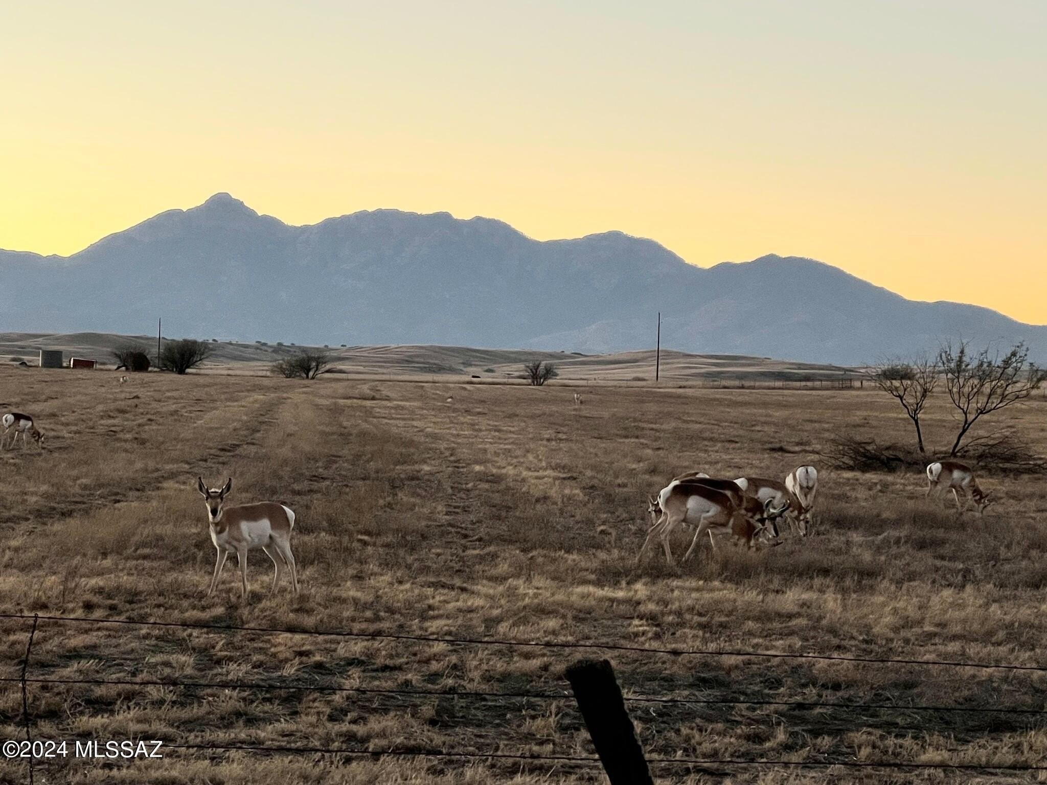 50. 131 Curly Horse Ranch Road