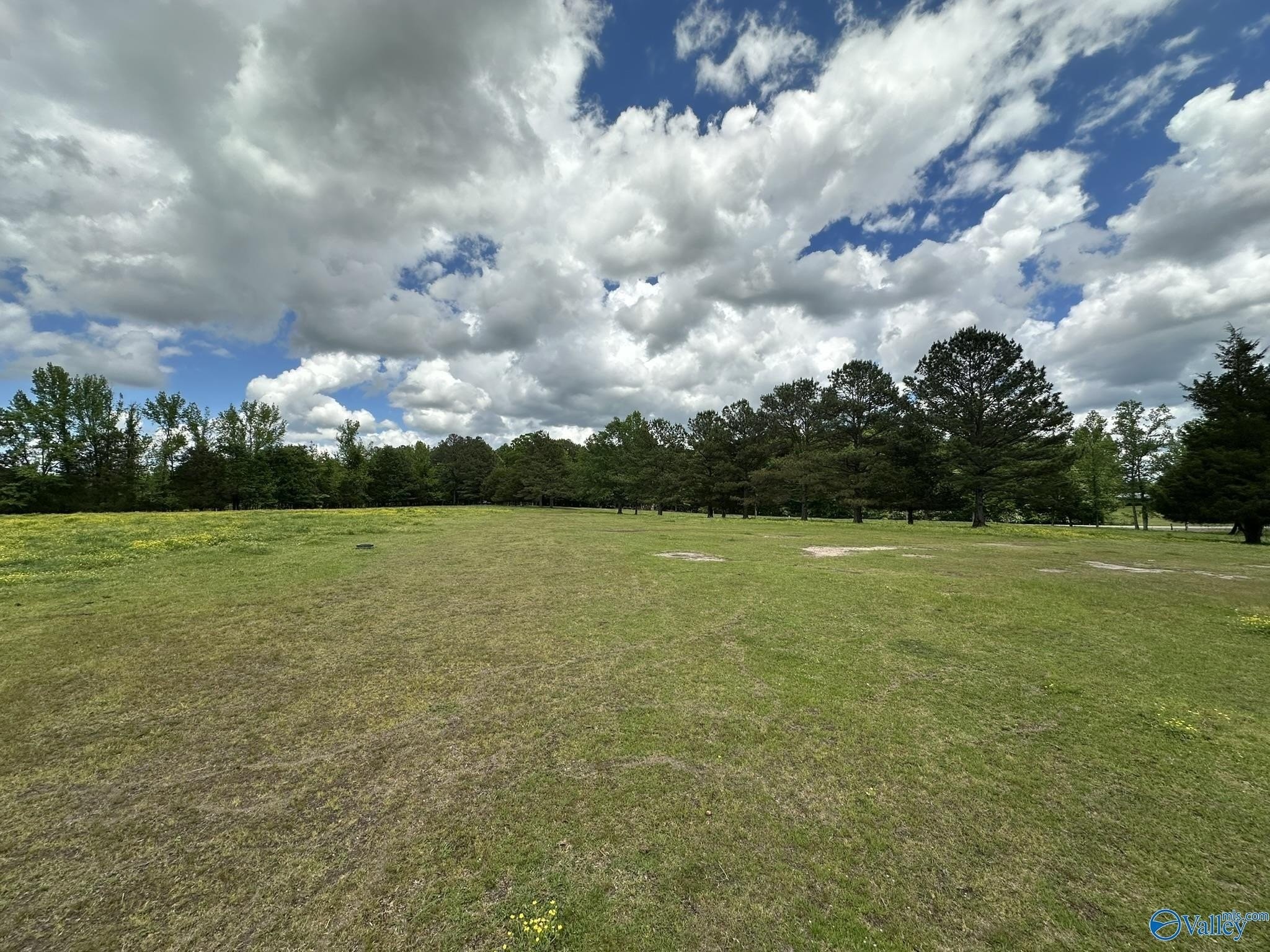 10. 16 Acres Wallace Drive