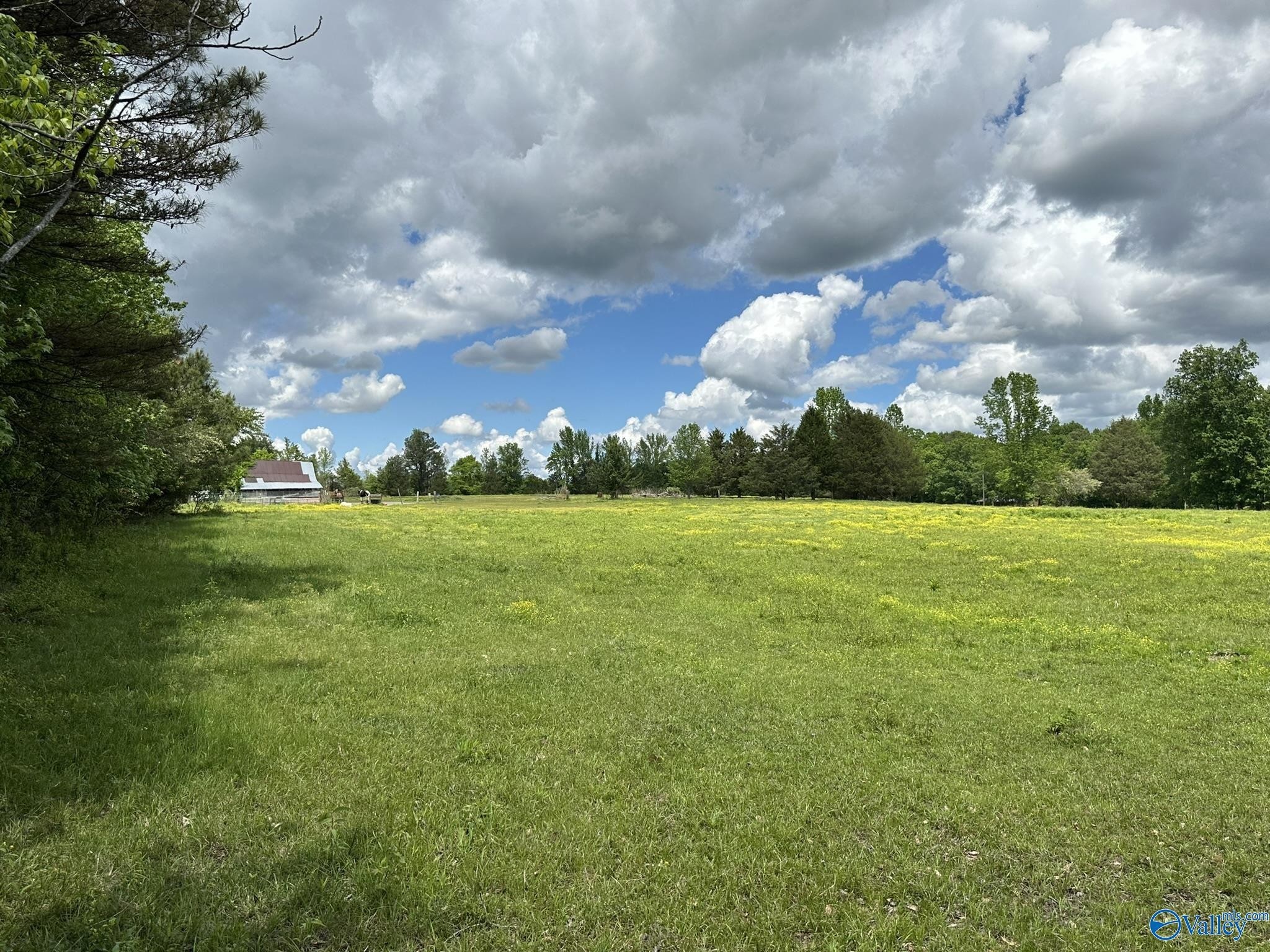 7. 16 Acres Wallace Drive