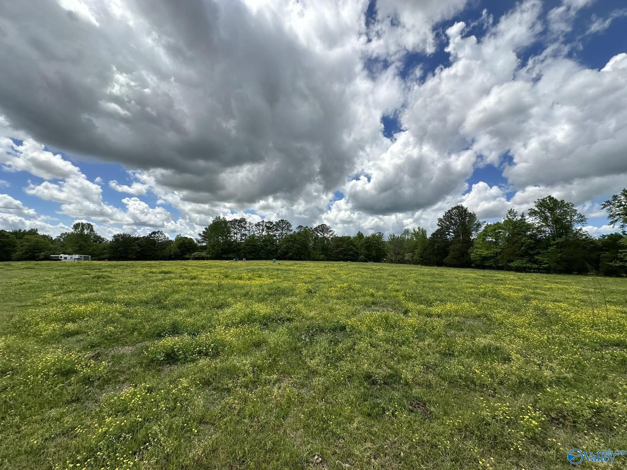 11. 16 Acres Wallace Drive