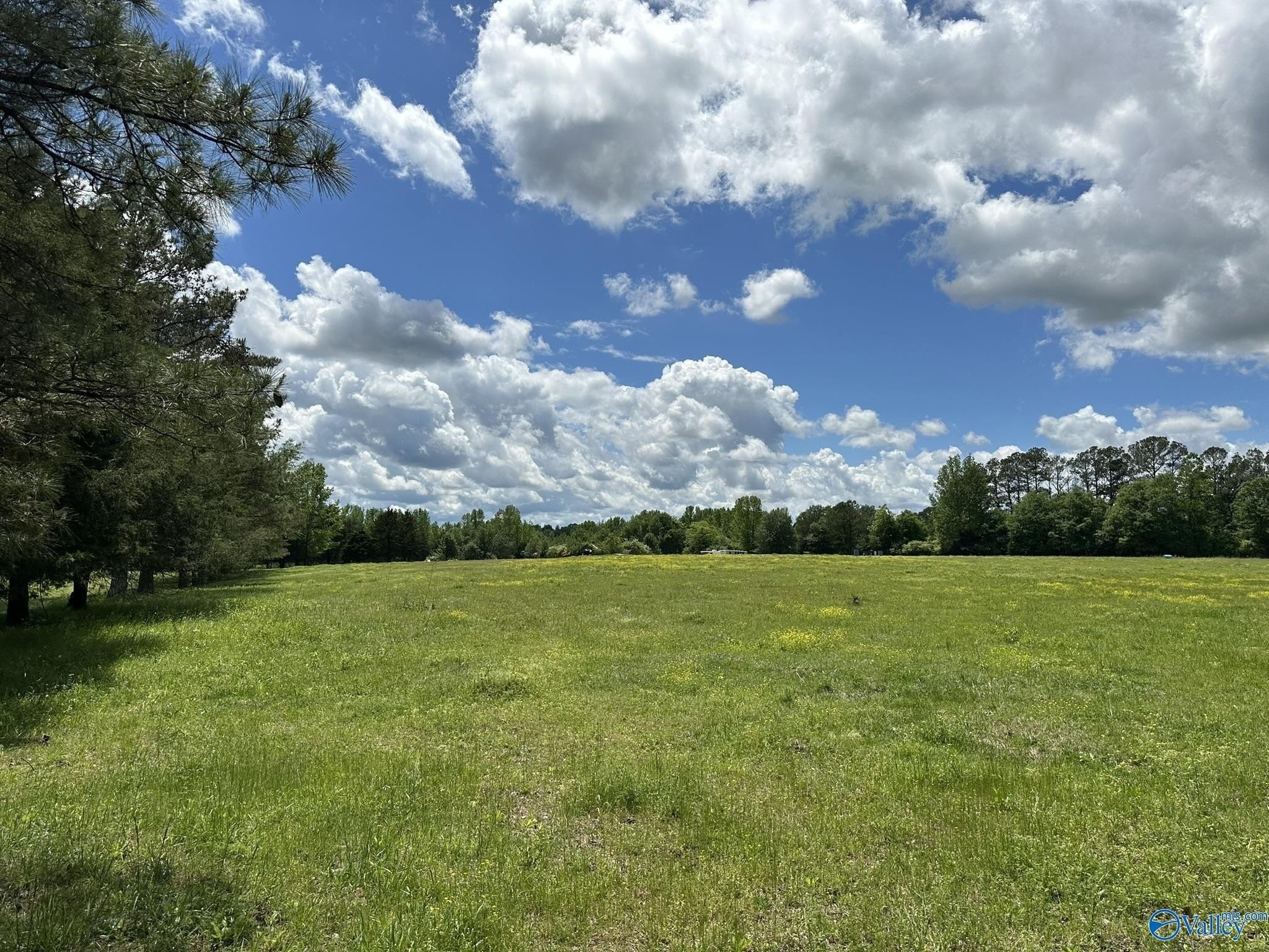 1. 16 Acres Wallace Drive