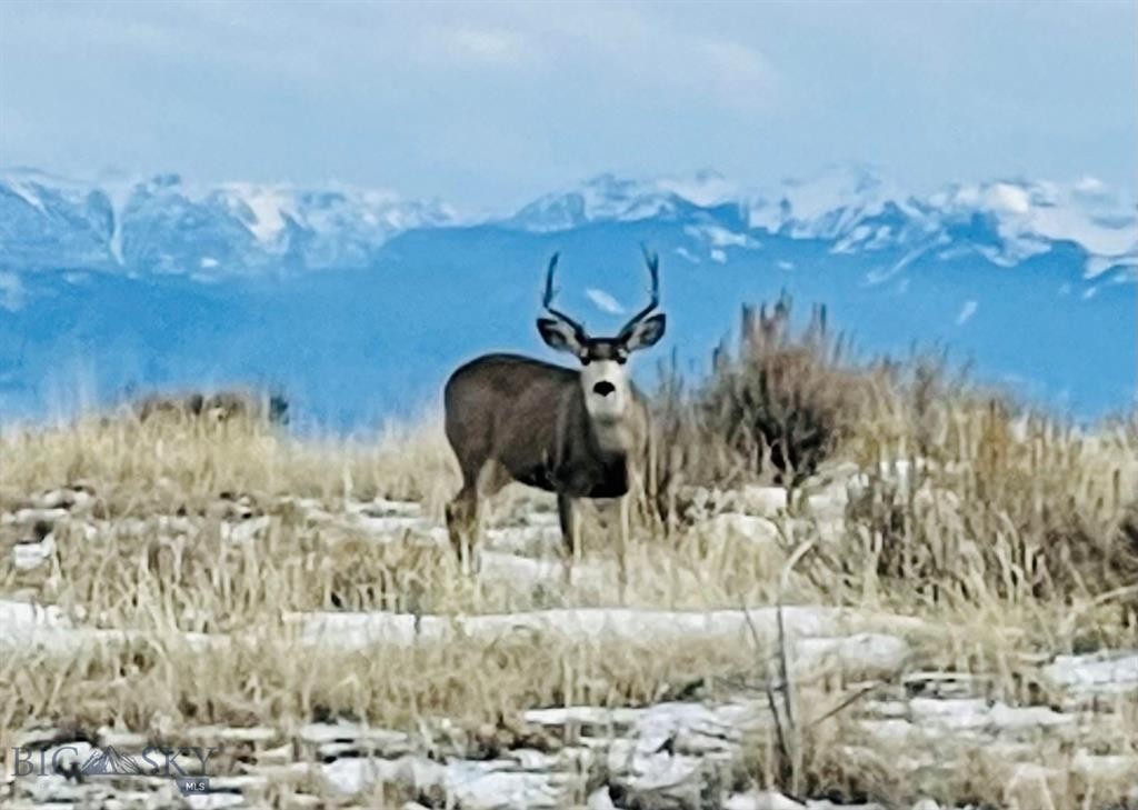 18. Tbd Nixon Gulch Road