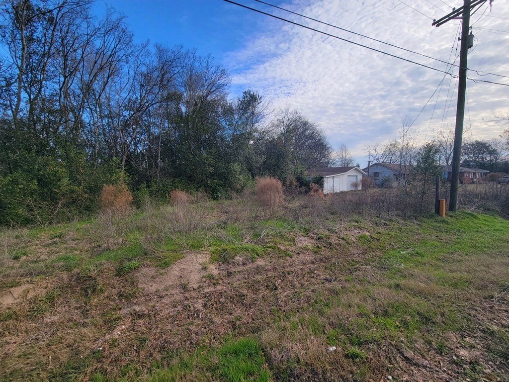 2. .49 Acres Pansey Rd
