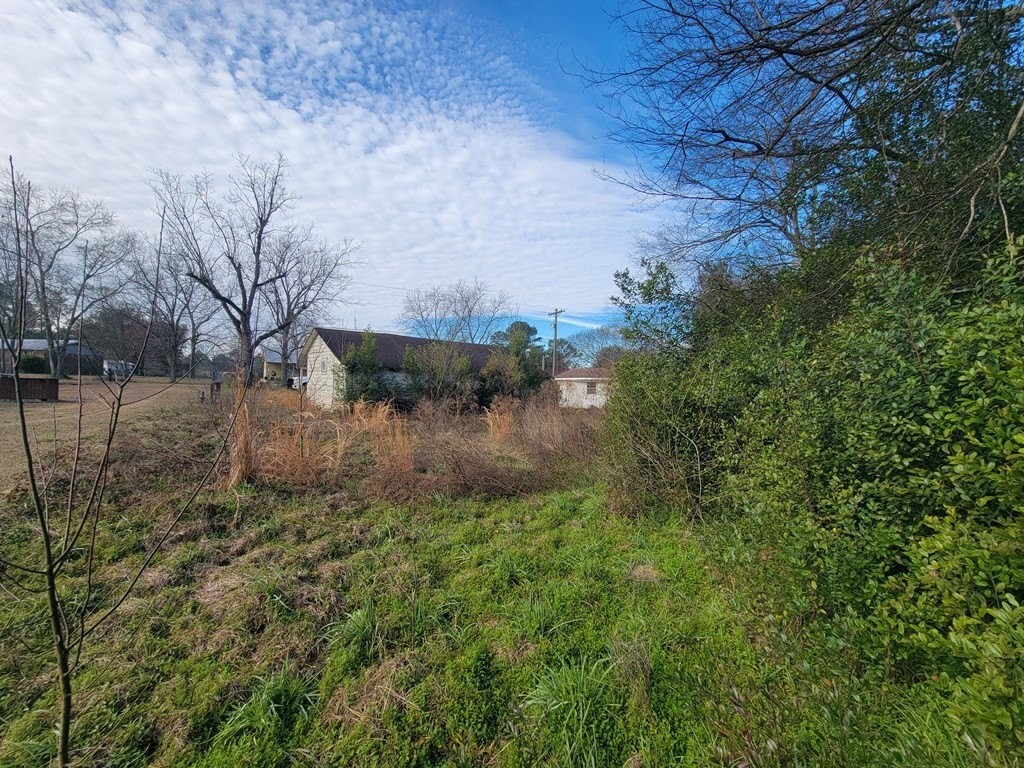 12. .49 Acres Pansey Rd