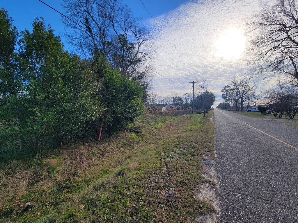 3. .49 Acres Pansey Rd