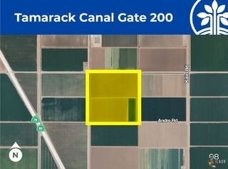 1. 200 Tamarack Canal