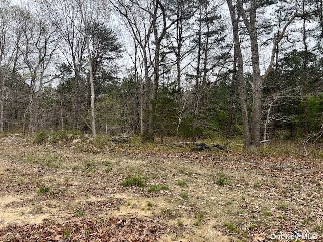 3. Lot 1 N Jerusalem Hollow Road