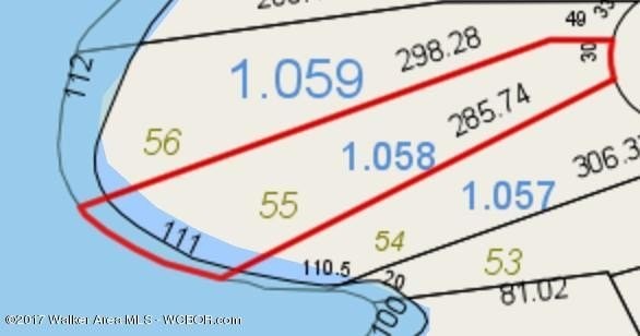 6. Lot 55 Flamingo