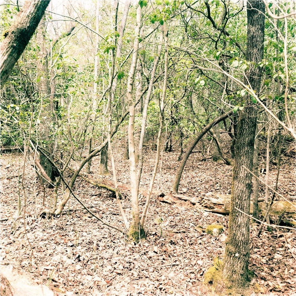 14. Lot 42 Nantahala Circle