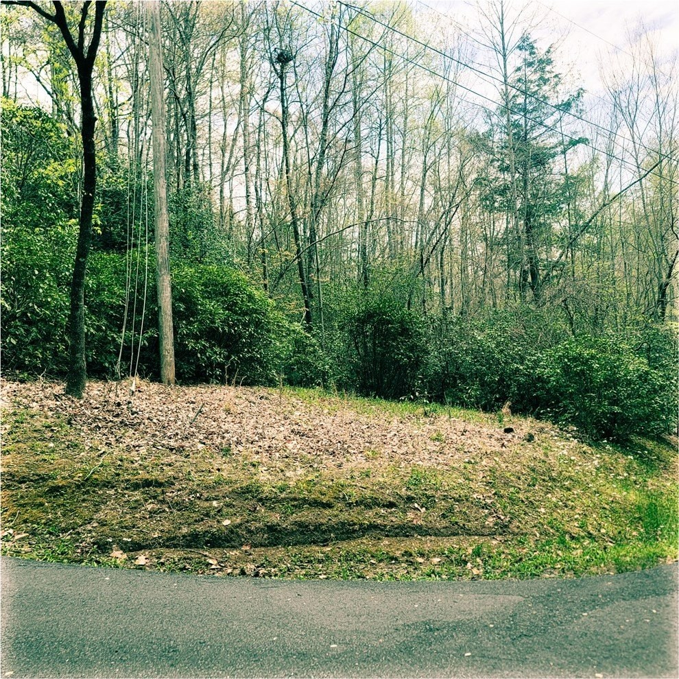 12. Lot 42 Nantahala Circle