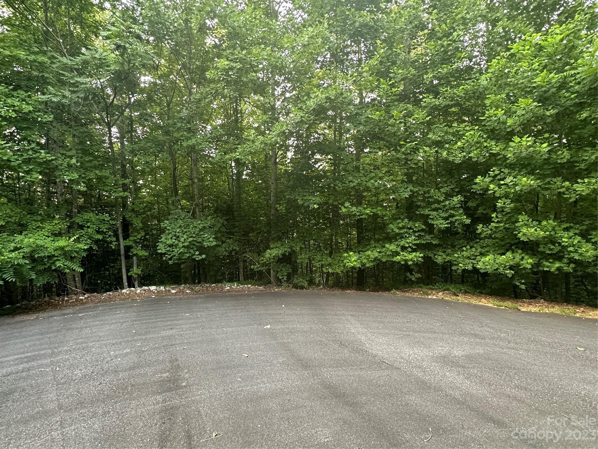3. 000 Forest Country Drive