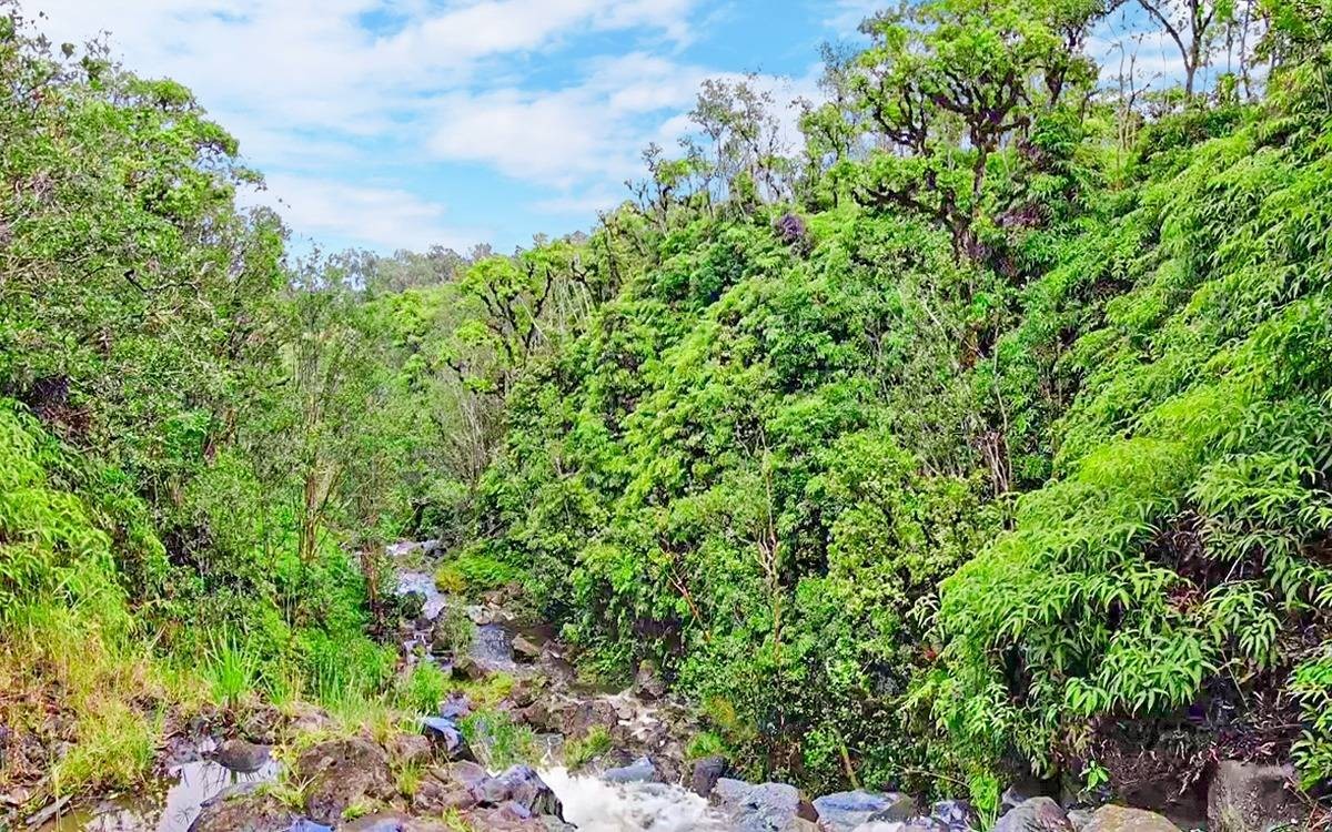 24. 32-620 Piha Kahuku Rd