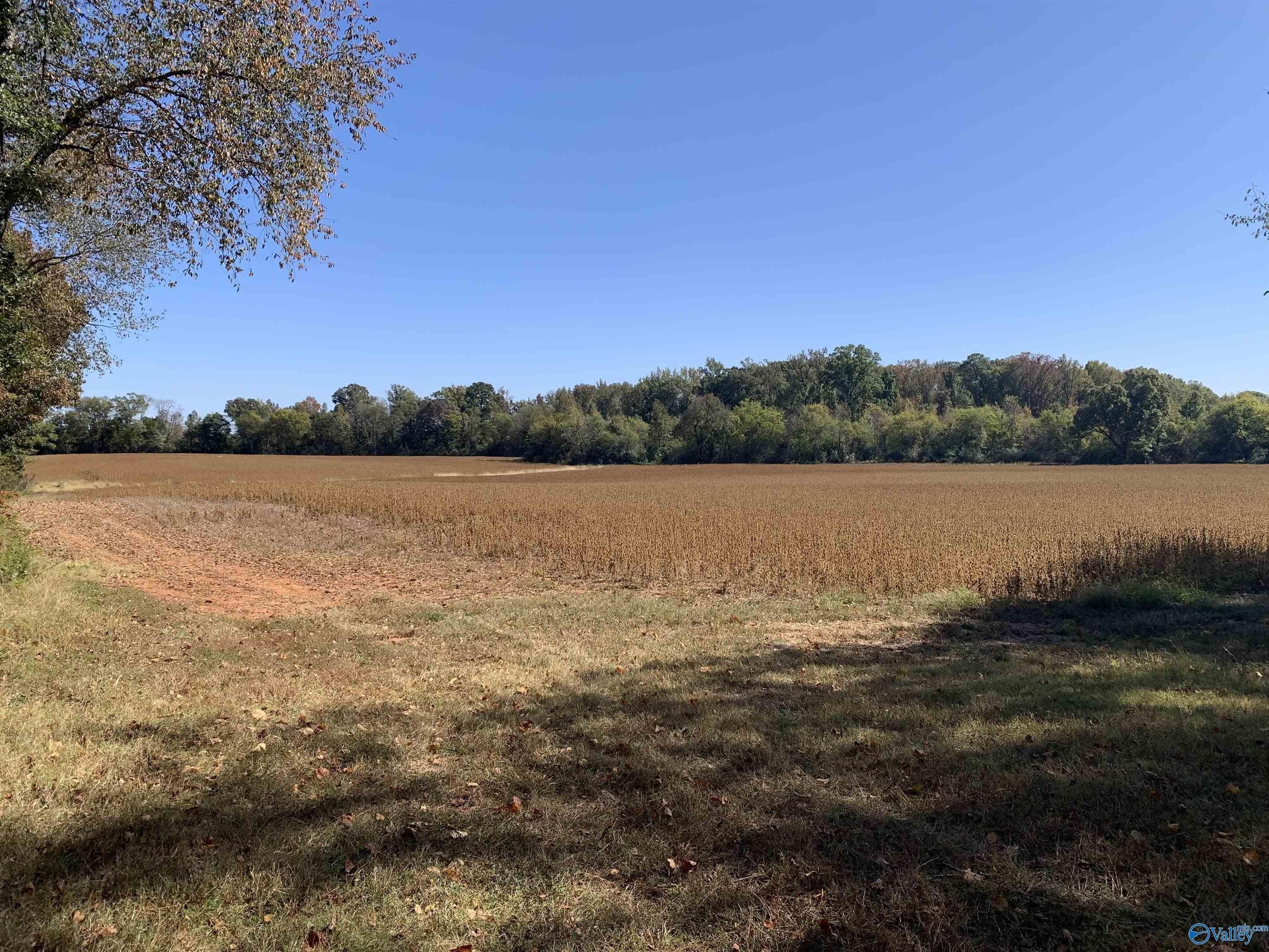 1. 10 Acres County Line Road