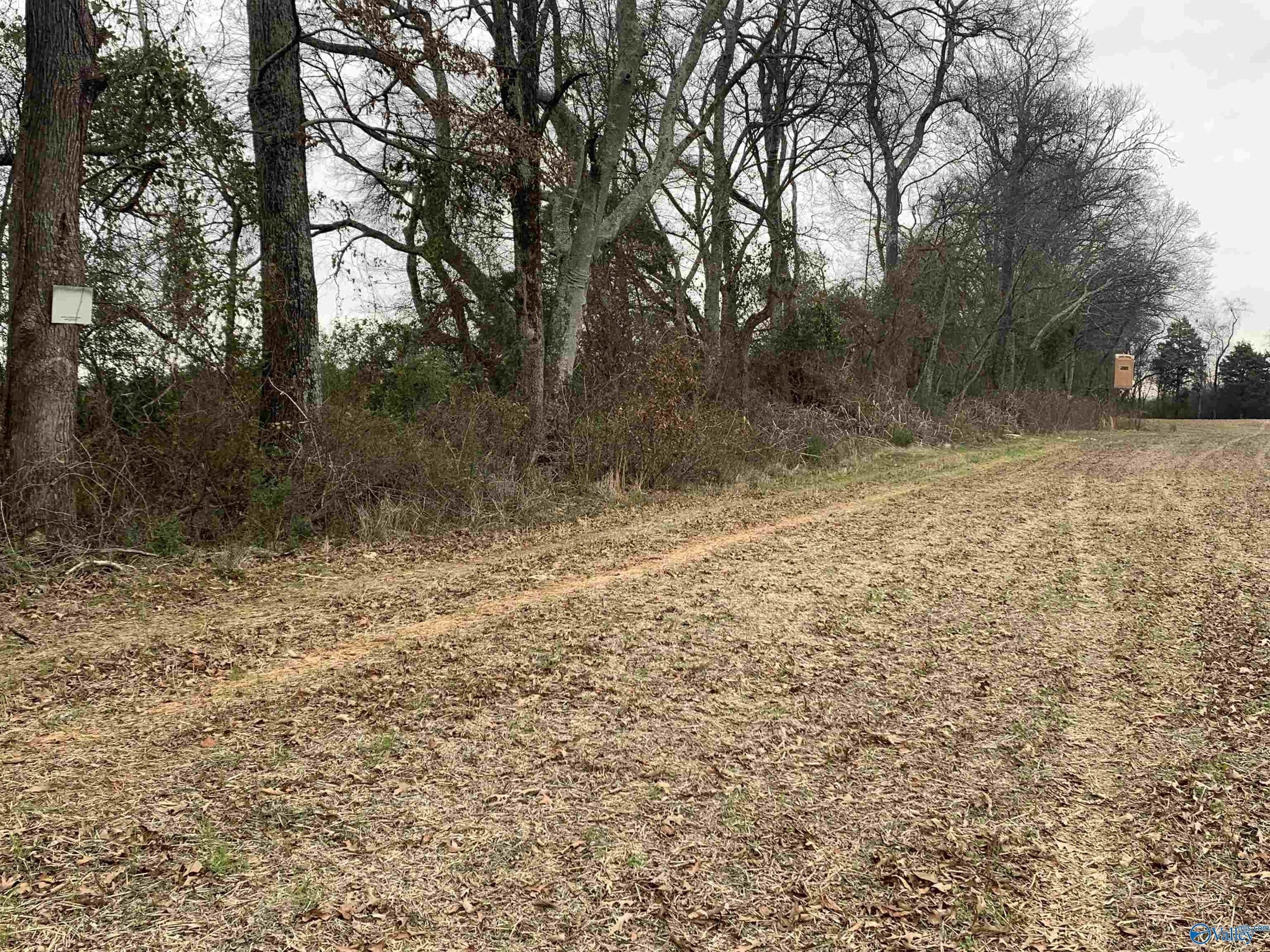 6. 10 Acres County Line Road