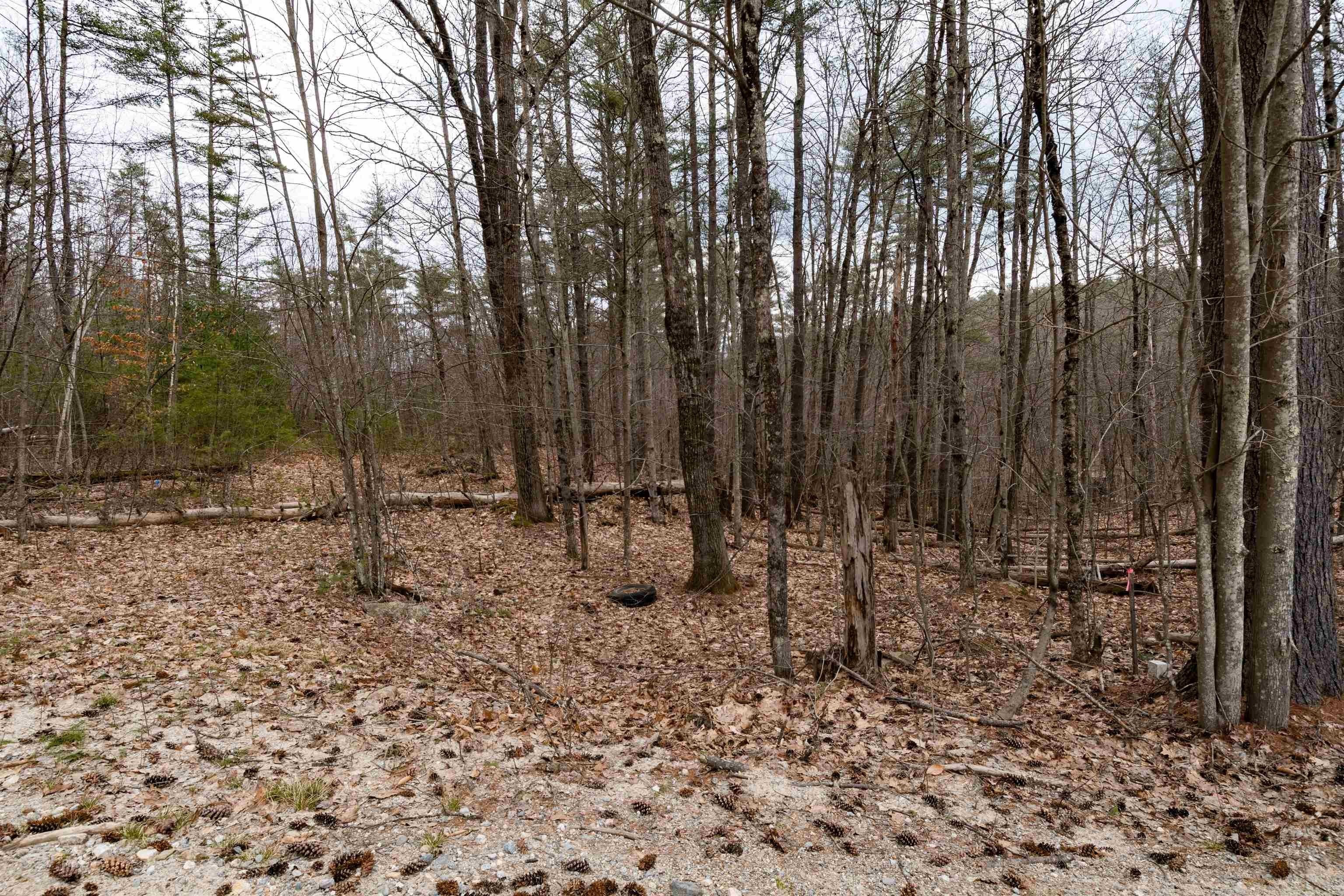 17. Lot 2-151-1 Tucker Mill Road