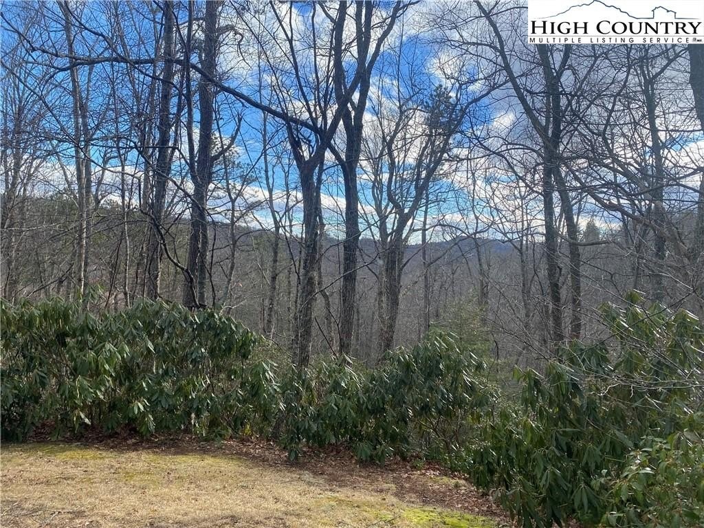 9. Lot 18 Idlewild Mountain Estates Road