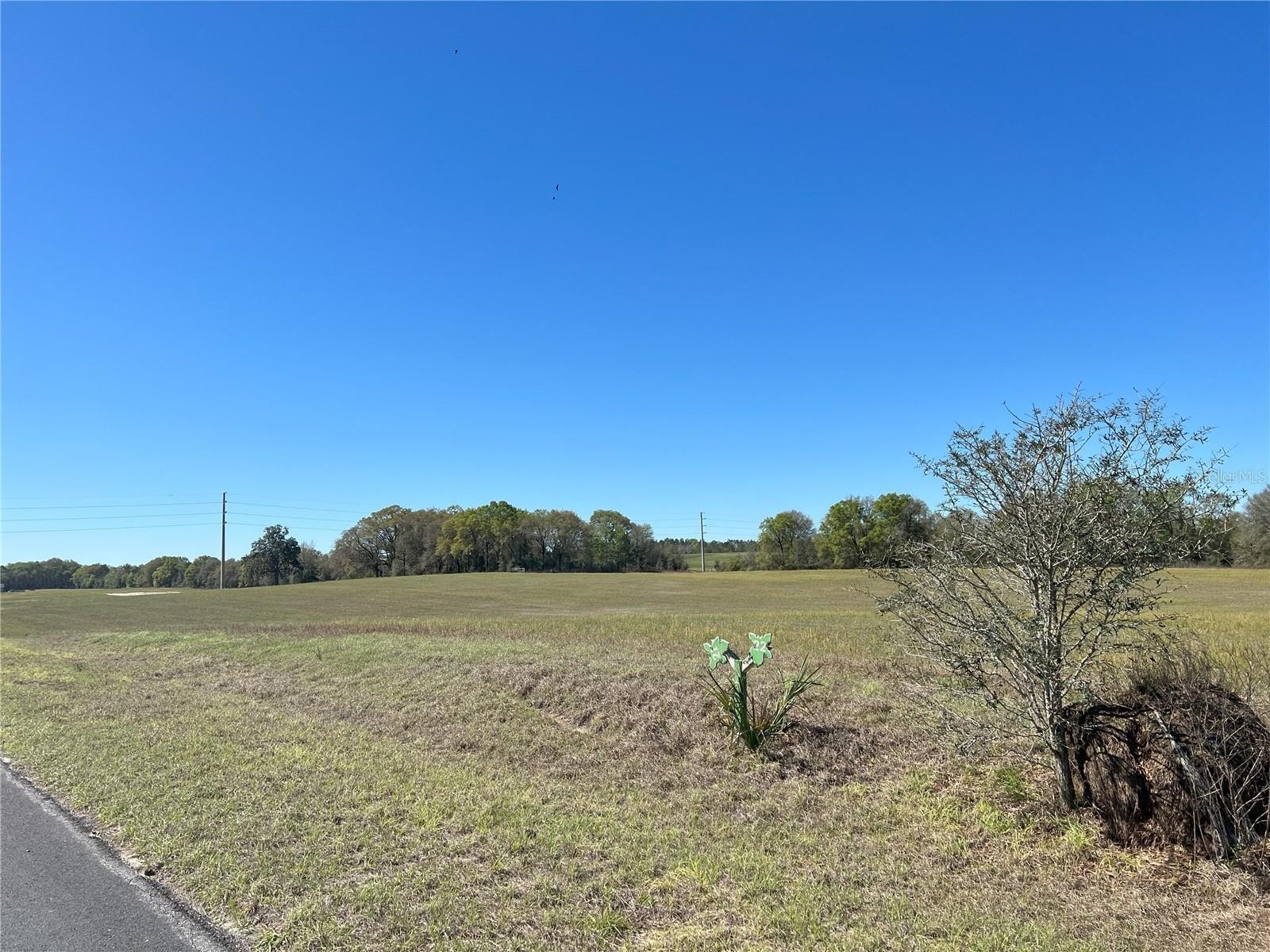 9. Lot 21 NW 31st Avenue