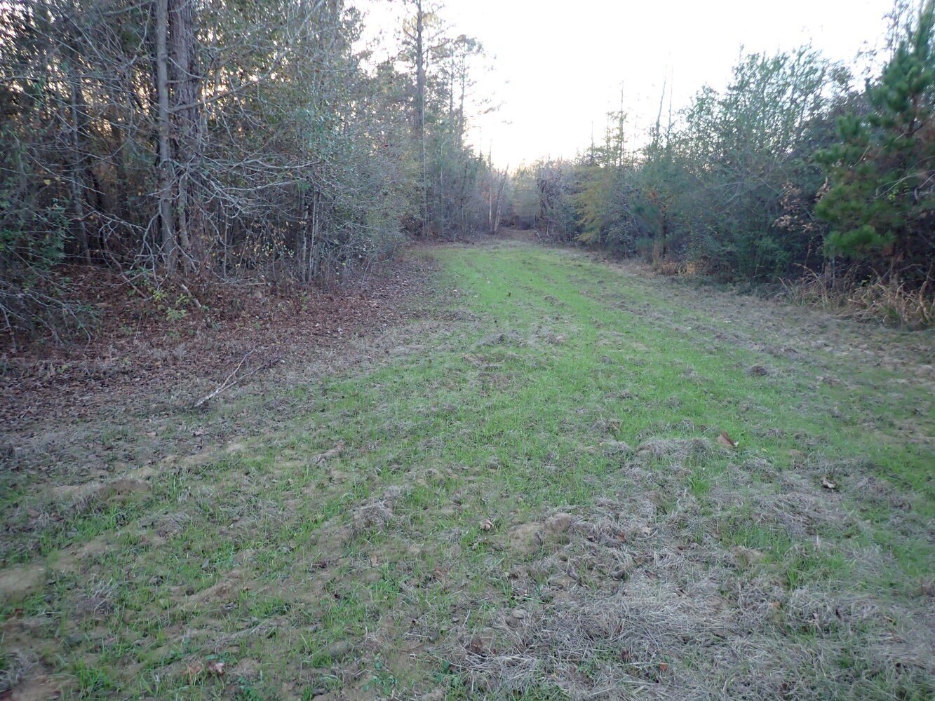 1. 0 Hwy 14 - Tract 1 Green Street