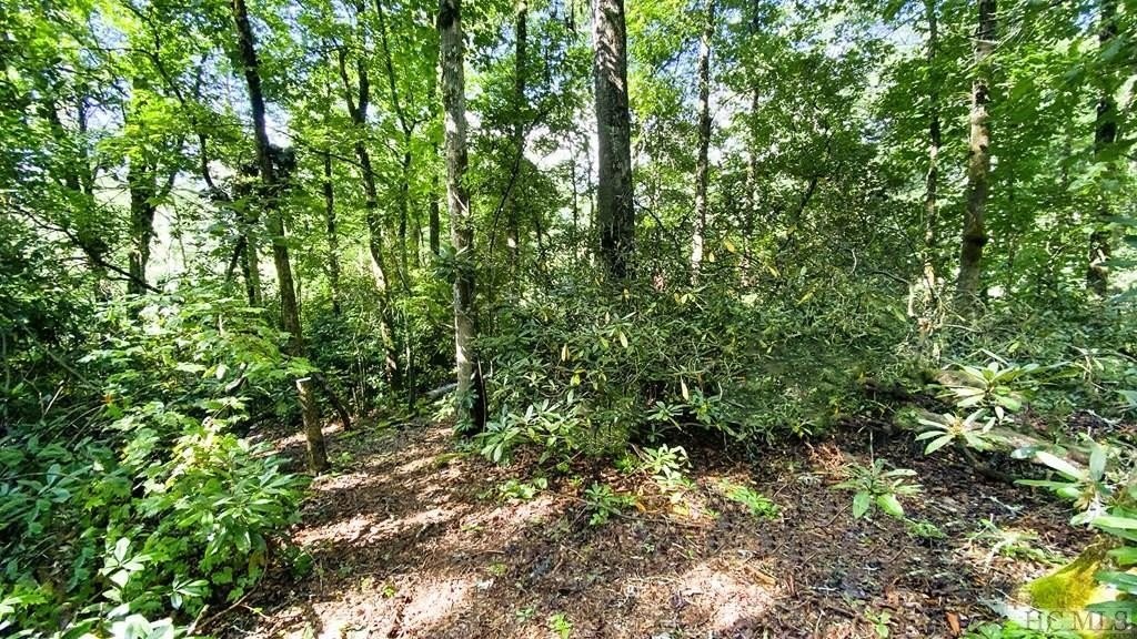 1. Lot L-4 Flagstone Road