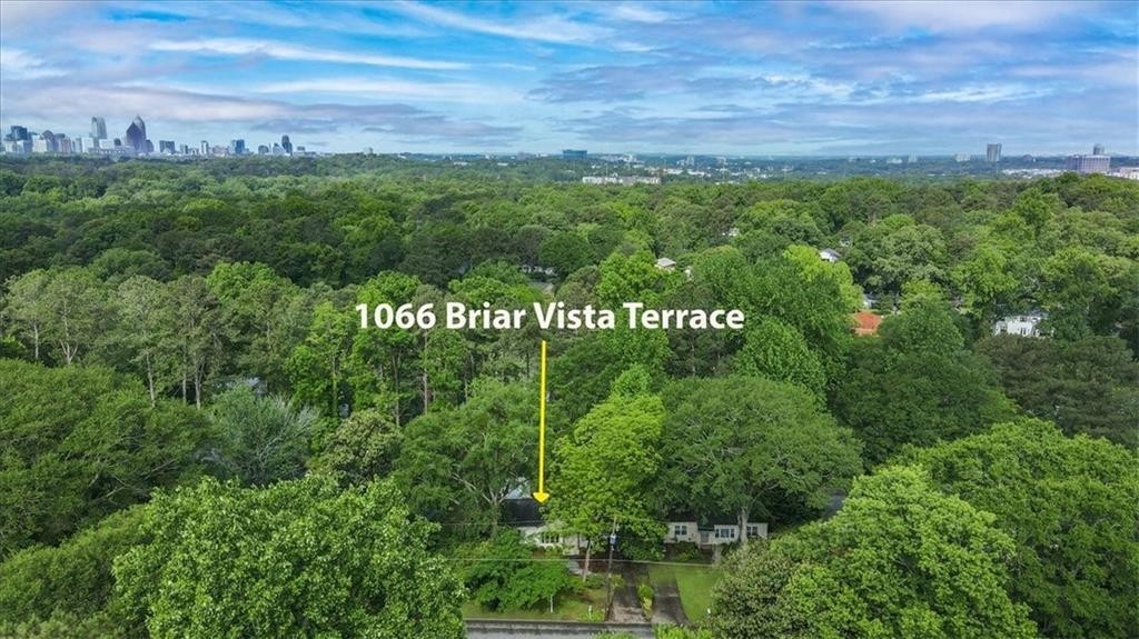 38. 1066 Briar Vista Terrace NE