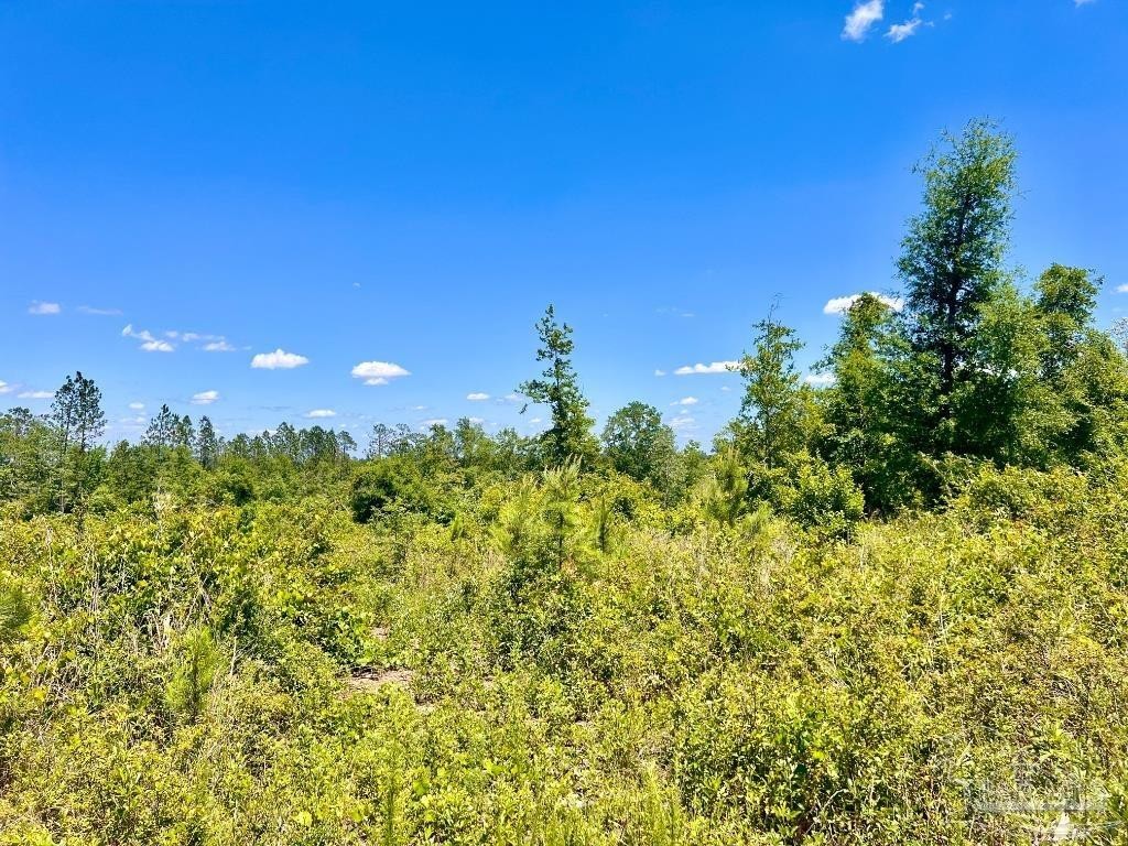 18. Lot 12-C Cotton Lake Rd