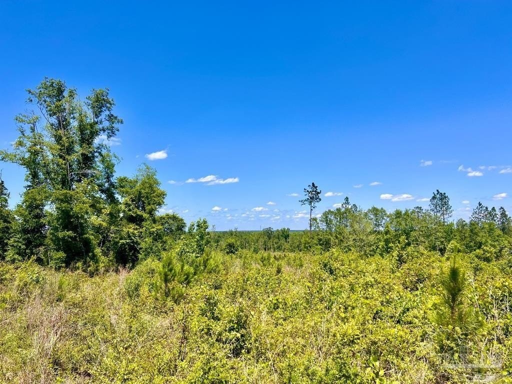 21. Lot 12-C Cotton Lake Rd