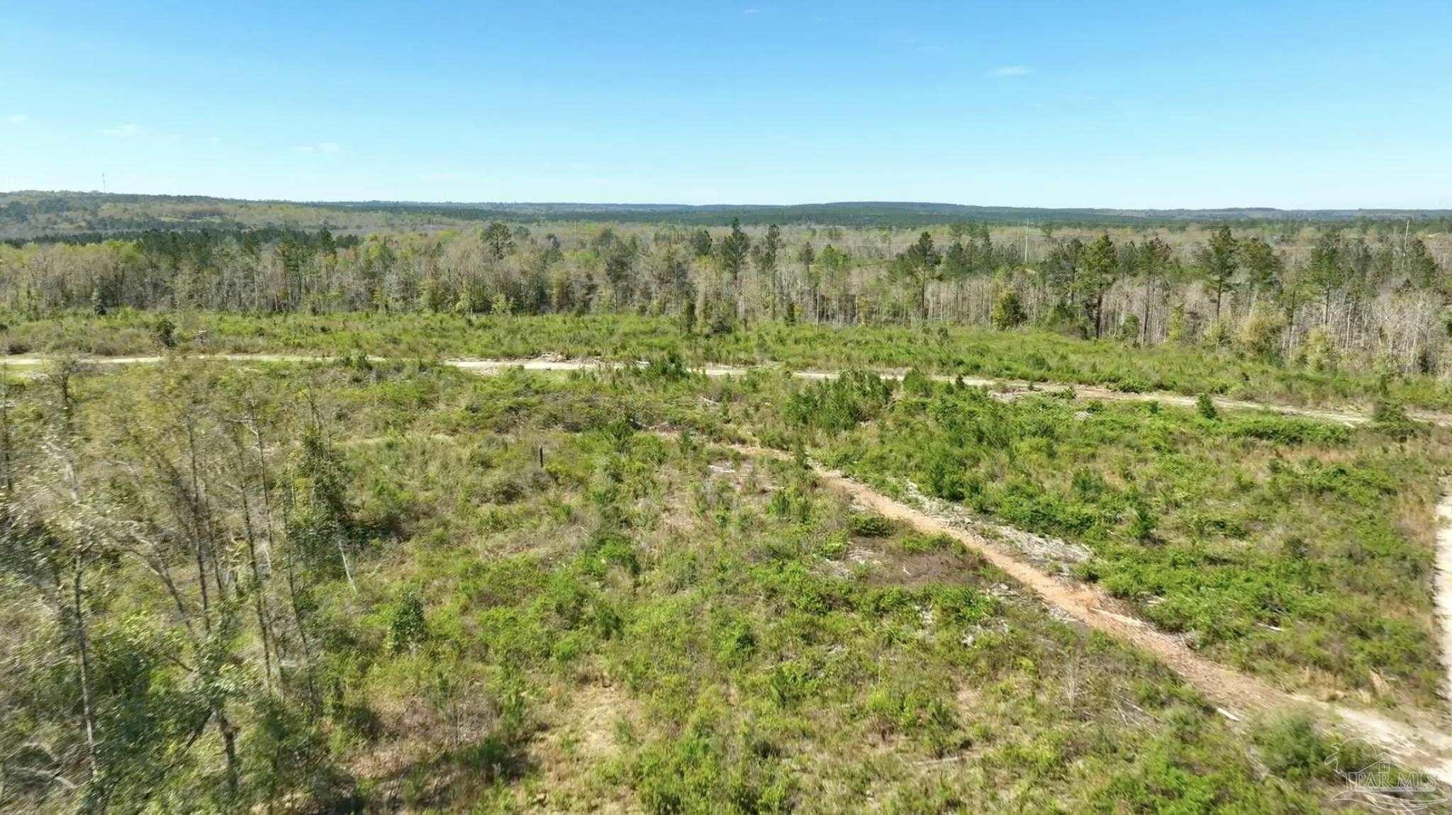 3. Lot 12n Cotton Lake Rd