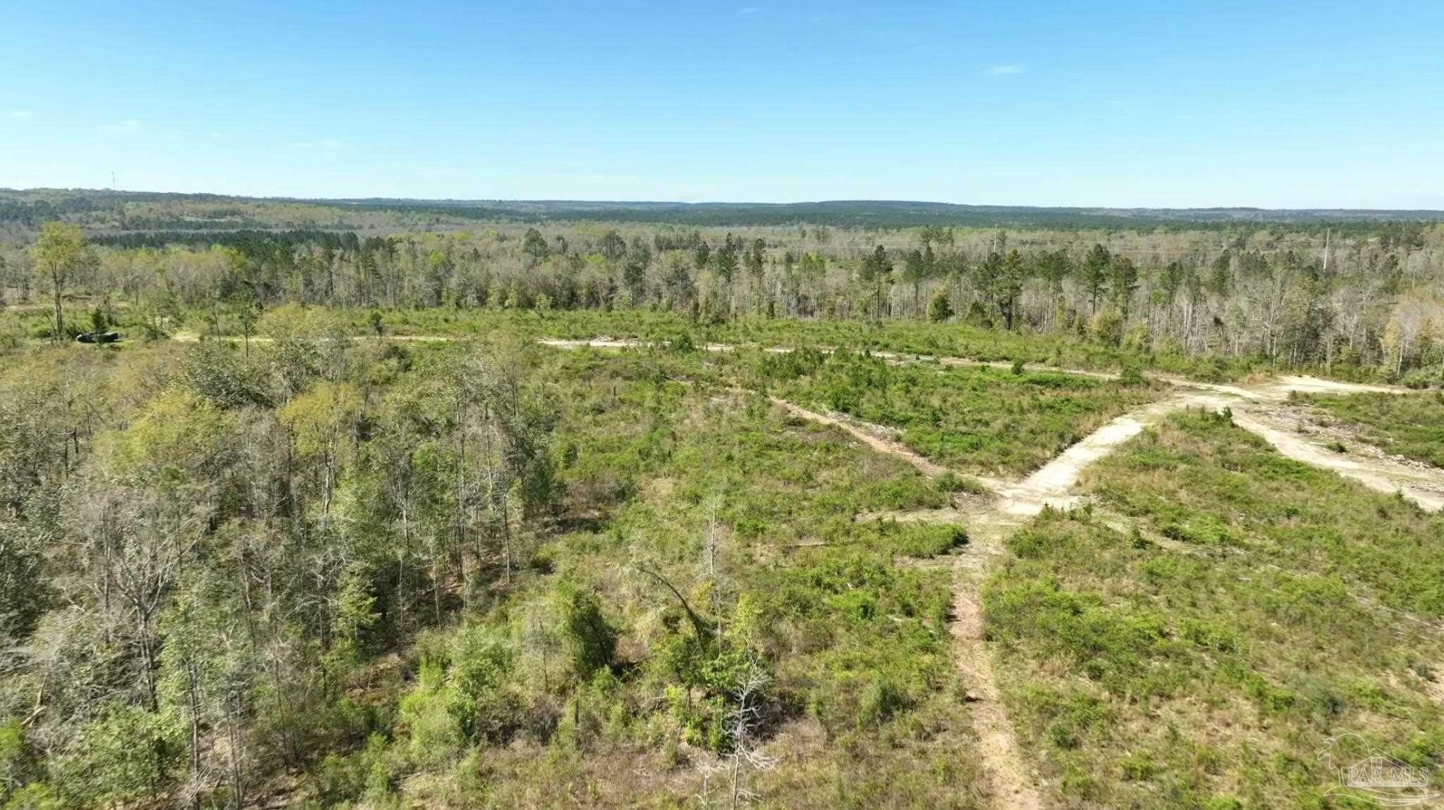 6. Lot 12-C Cotton Lake Rd