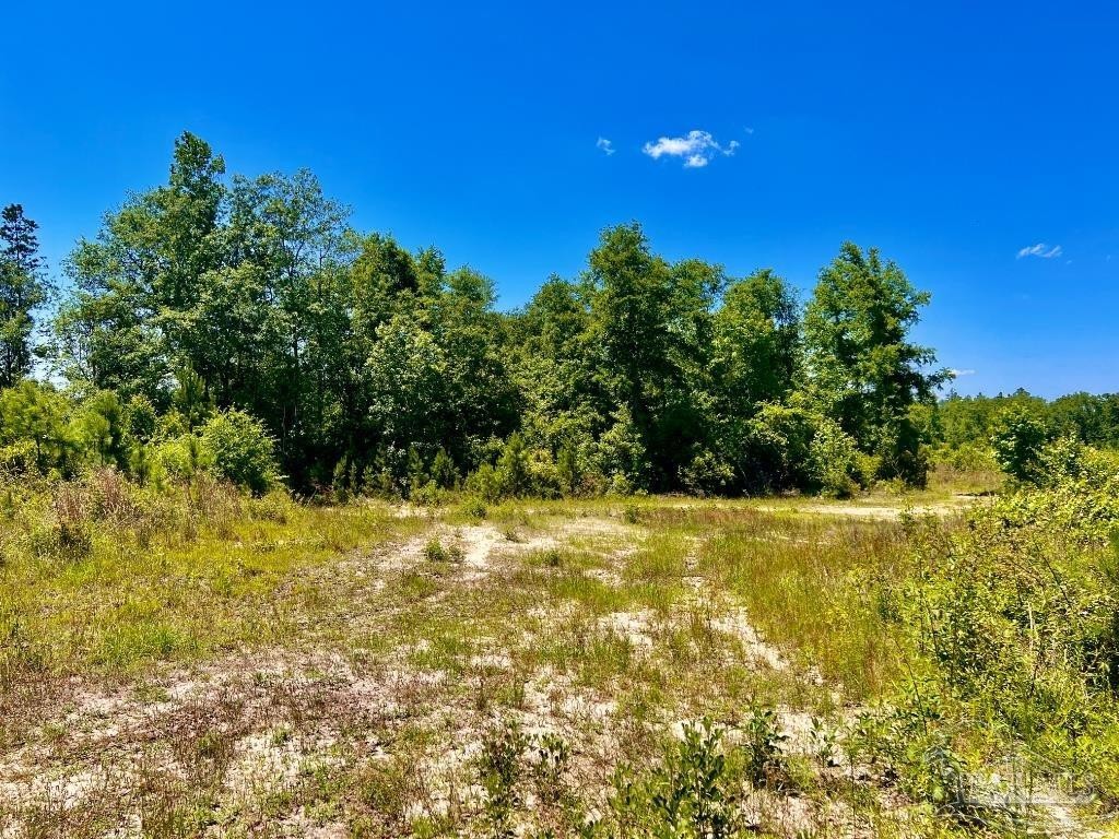 3. Lot 12-C Cotton Lake Rd