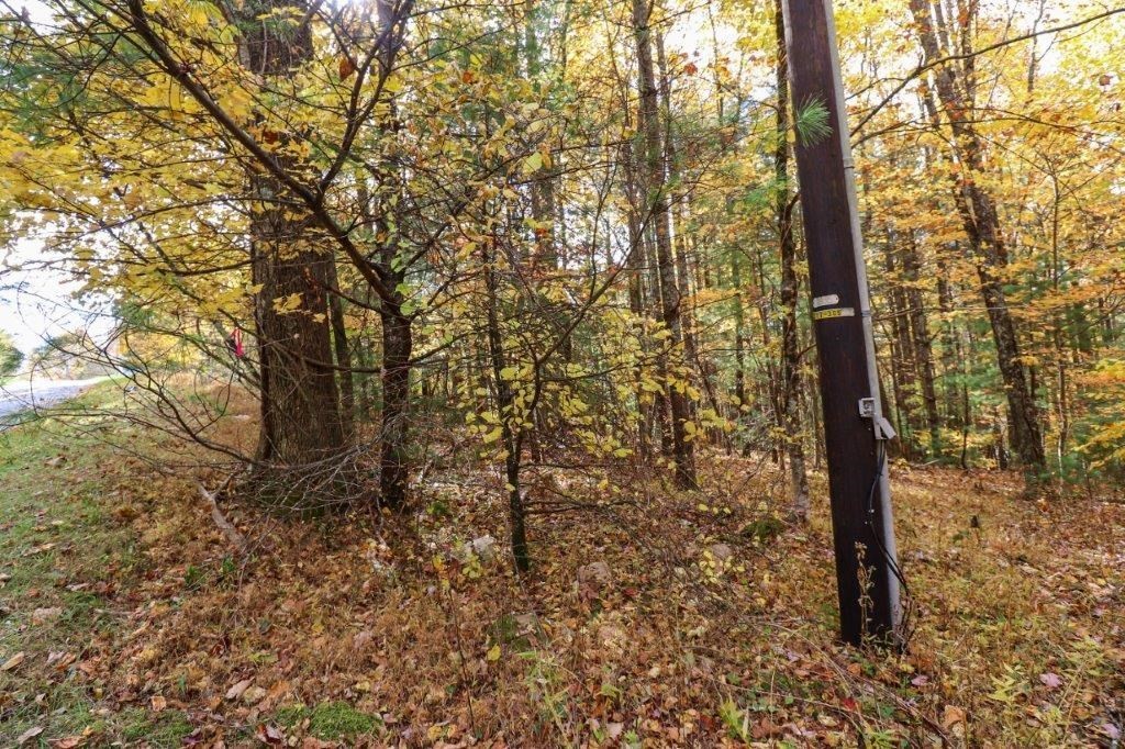 9. Lot 116 Old Hollow Trail