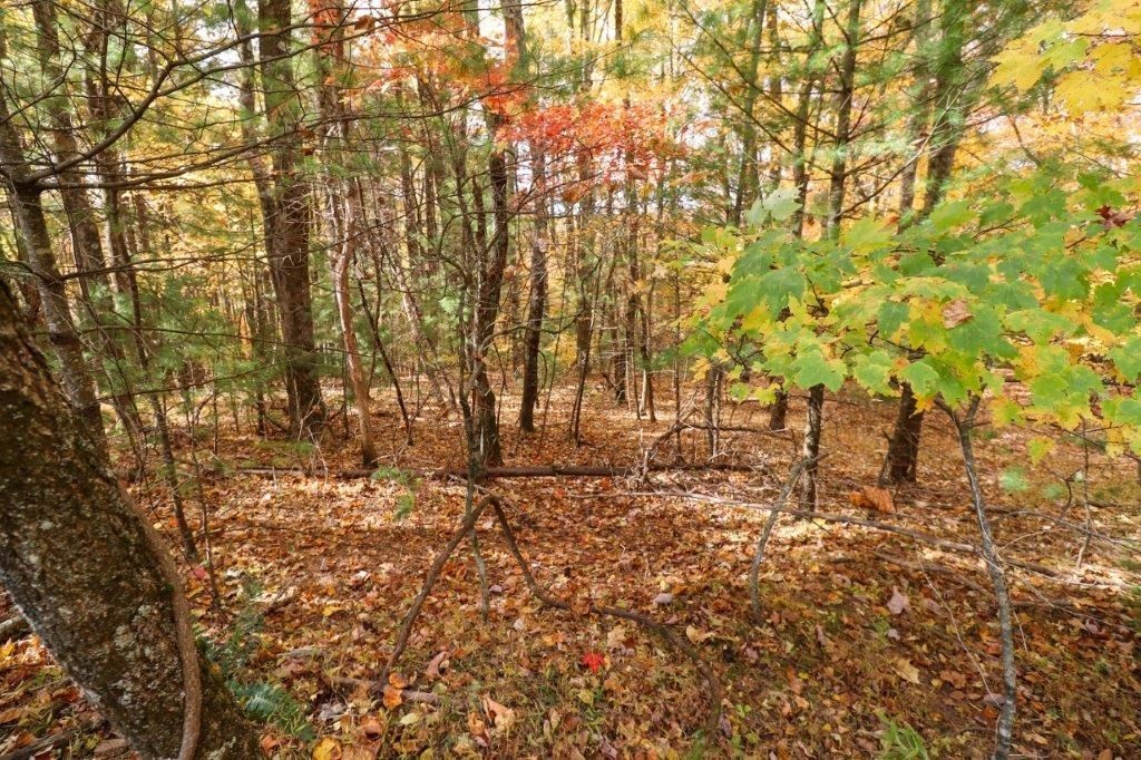 2. Lot 116 Old Hollow Trail