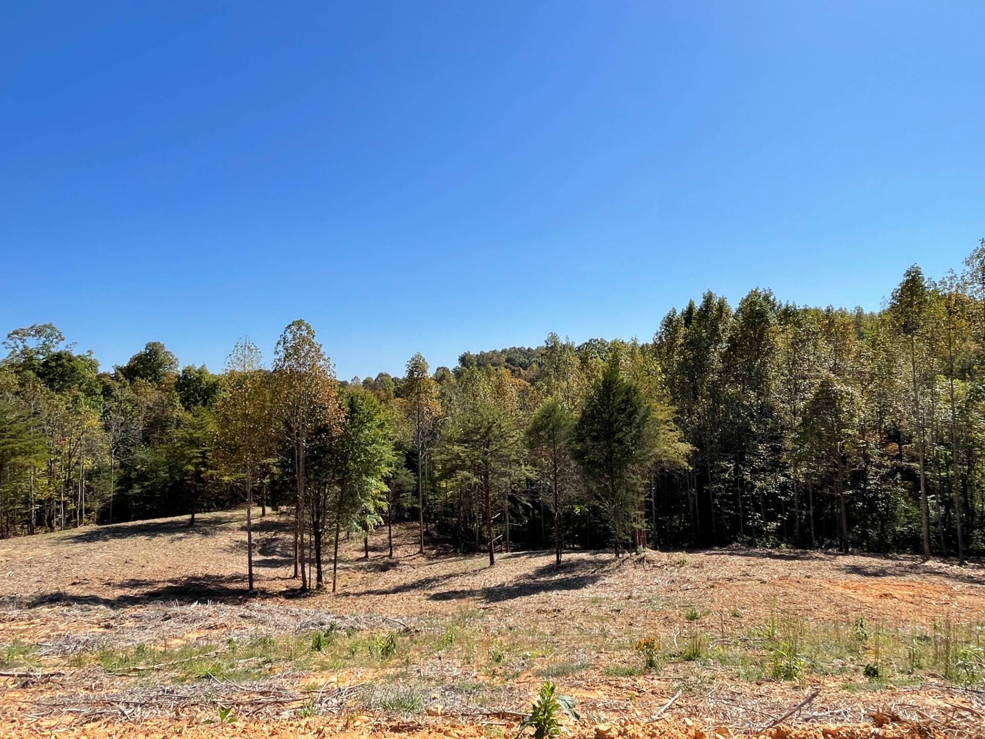 1. 4.725 Acres Off State Park Rd.