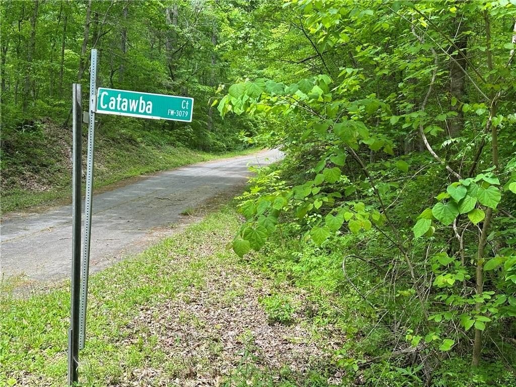 2. Lot 242 Catawba Court