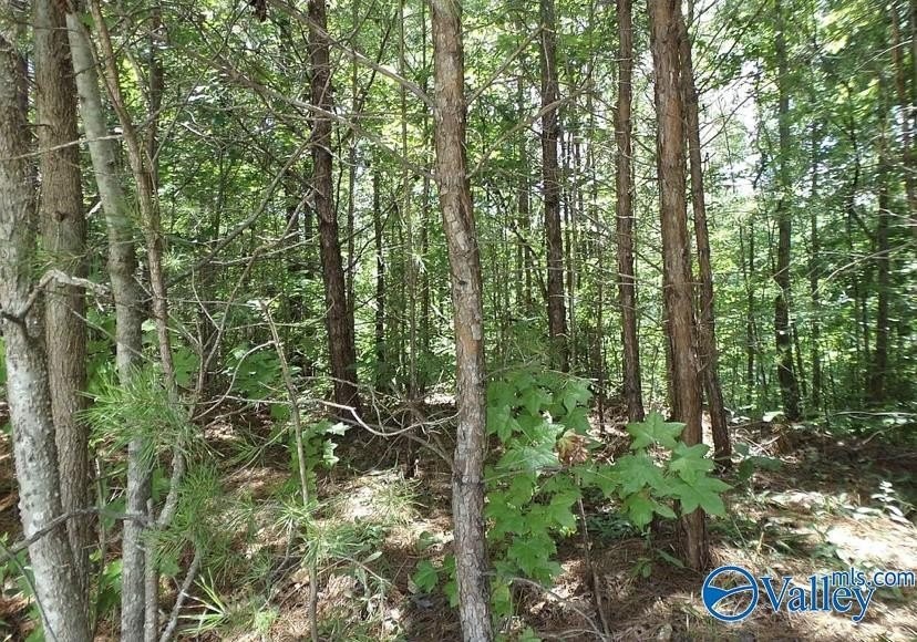 2. 46 Acres Valley Trail