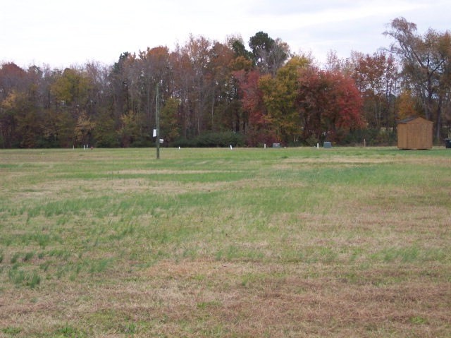 2. 131 Pinewood Drive Lot