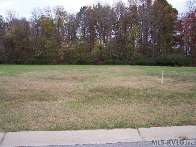 1. 131 Pinewood Drive Lot