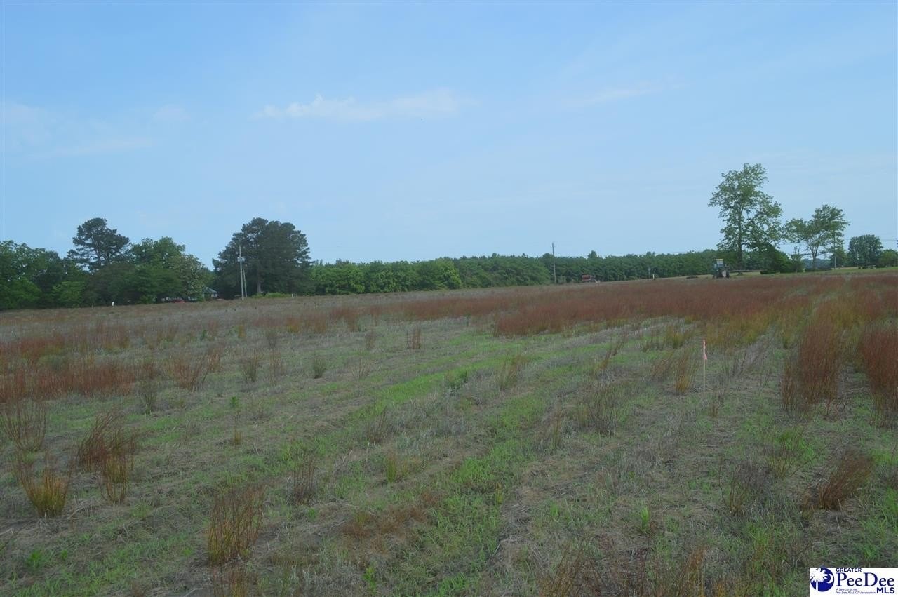 2. Lot 1 Byrdtown Rd