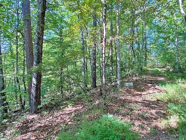 2. 3ac Winters Mountain Road