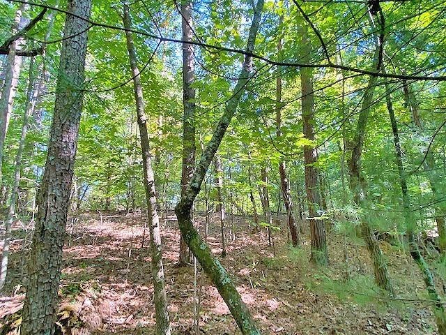 5. 3ac Winters Mountain Road
