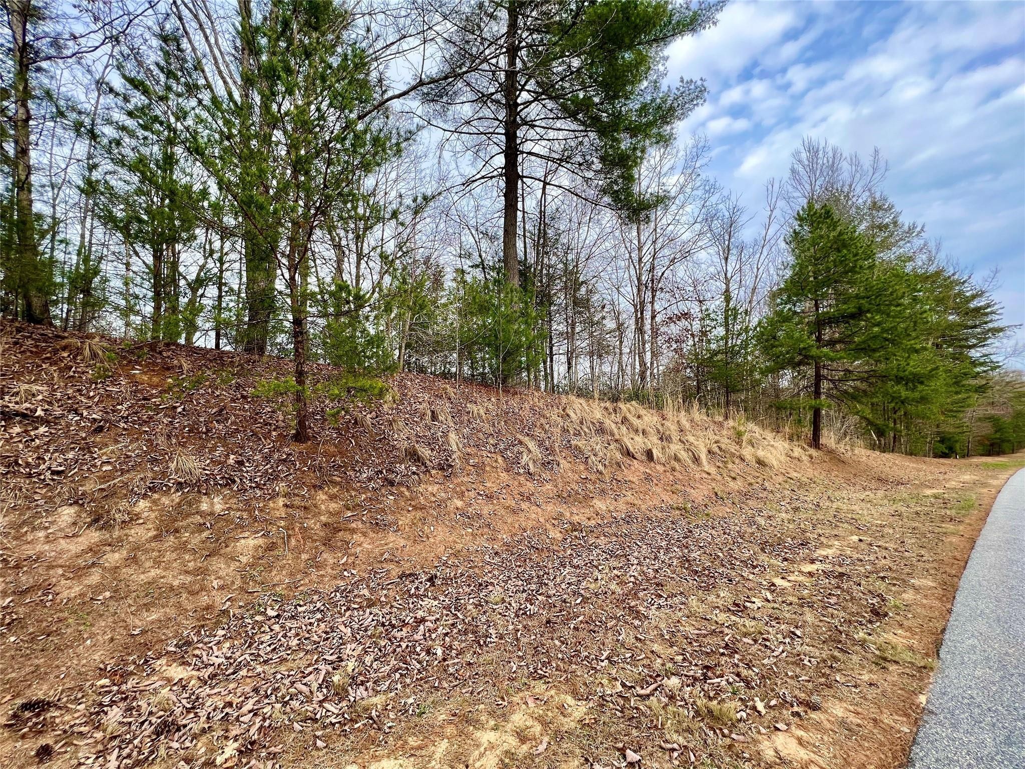 2. 1.87 Acre Lot 4 Walnut Ridge Drive