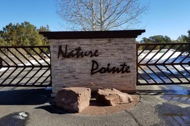 1. 46 Nature Pointe Drive